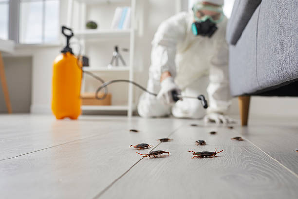 Commercial Kitchen Cockroach Control in Tooele